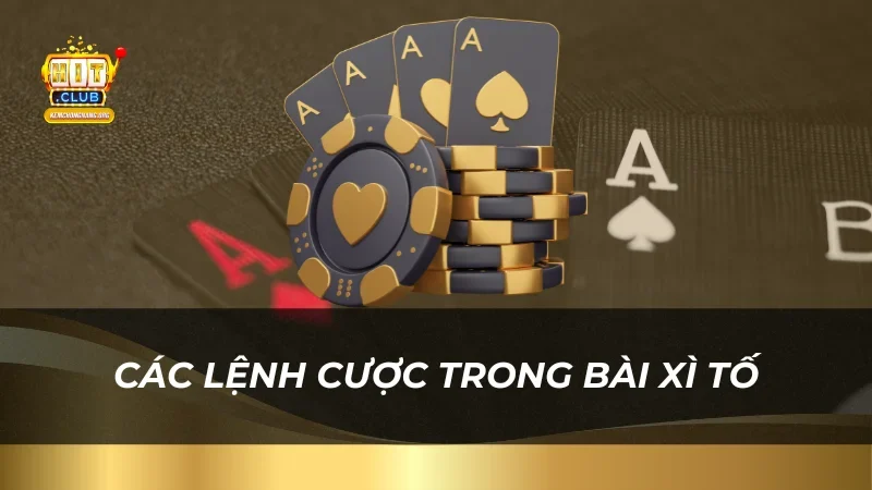 Chi Tiết Cách Chơi Bài Xì Tố Hitclub Thắng Lớn Mọi Đối Thủ Các lệnh cược trong bài Xì Tố