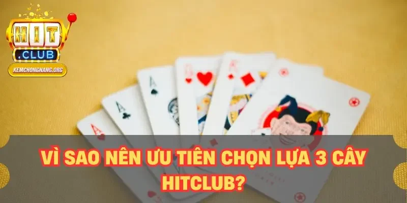 Vì sao nên ưu tiên chọn lựa 3 cây HITCLUB?